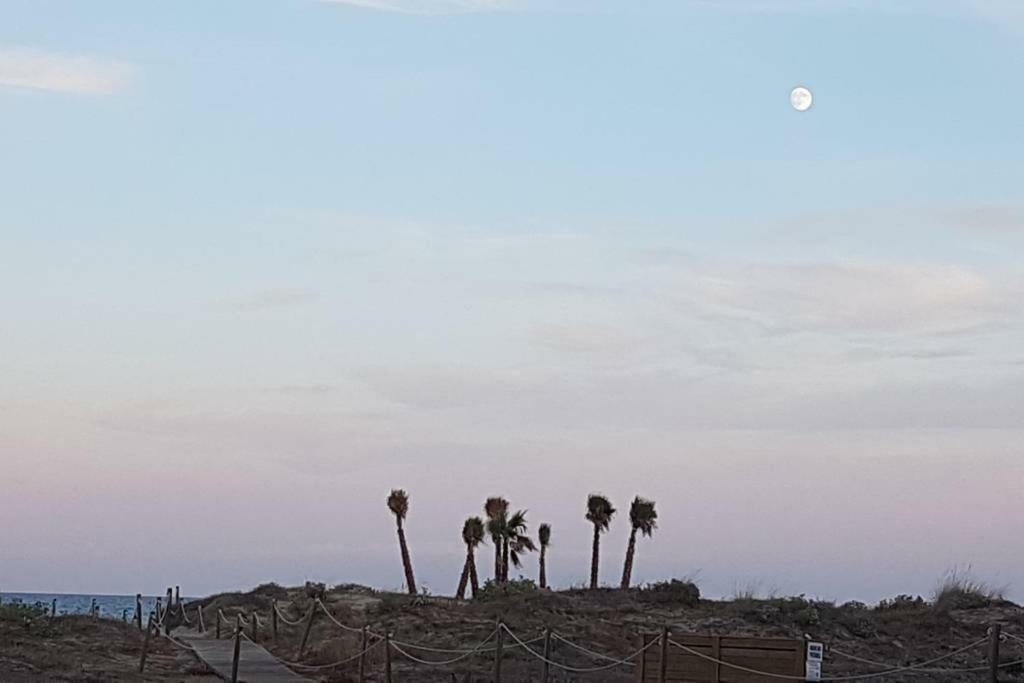 Апартаменти Vacaciones Canet Playa Canet d'En Berenguer Екстер'єр фото